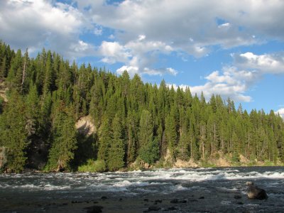 Yellowstone National Park