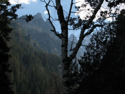 Teton National Park