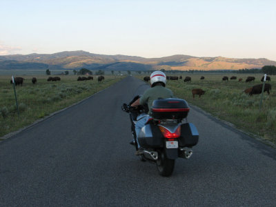 Near Teton National Park