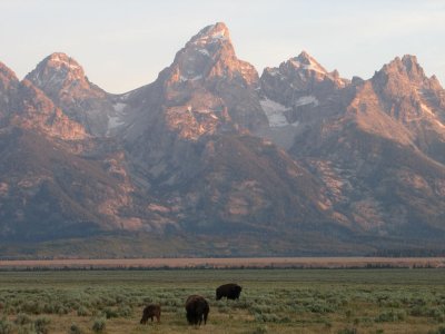 Near Teton National Park