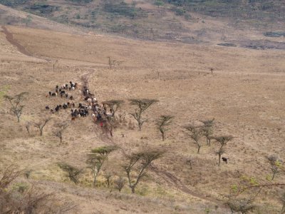 Serengeti National Park