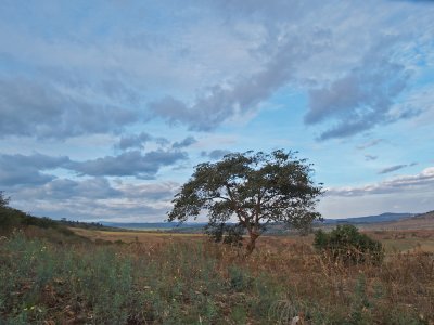 PA140395_lr.jpg