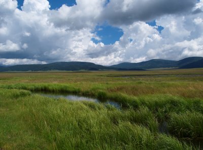 P8260084_lr.jpg