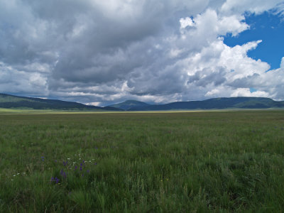 P8260093_lr.jpg