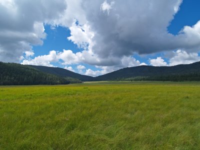 P8260099_lr.jpg