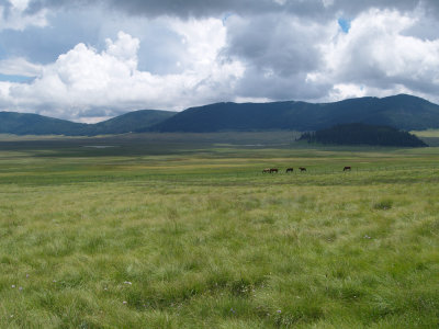 P8260104_lr.jpg