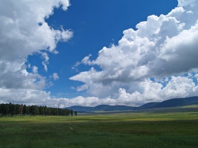 P8260106_lr.jpg