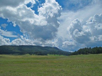 P8260124_lr.jpg