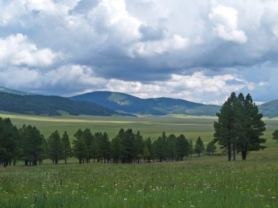 P8260136_lr.jpg