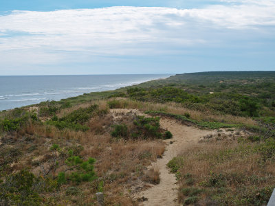 P8211504_lr.jpg