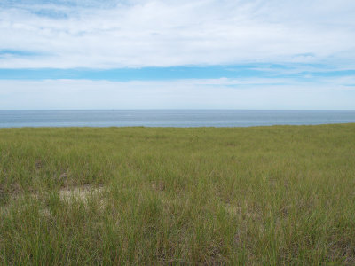 P8211524_lr.jpg