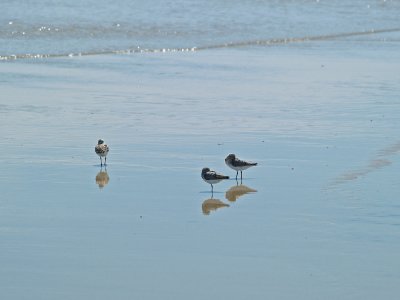 P8221547_lr.jpg