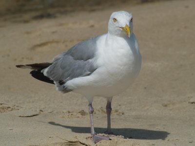 P8221574_lr.jpg