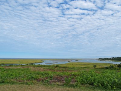 P8221612_lr.jpg
