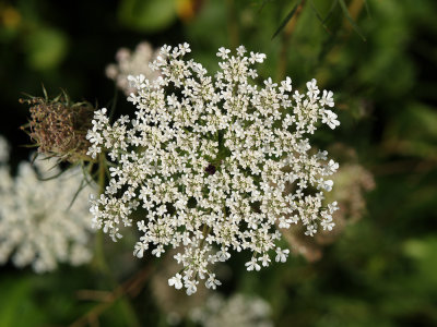 P8221630_lr.jpg