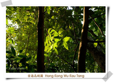 hkwk_D0733W004.jpg