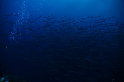 DSC_3440.JPG