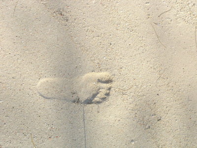 DSC02097.JPG