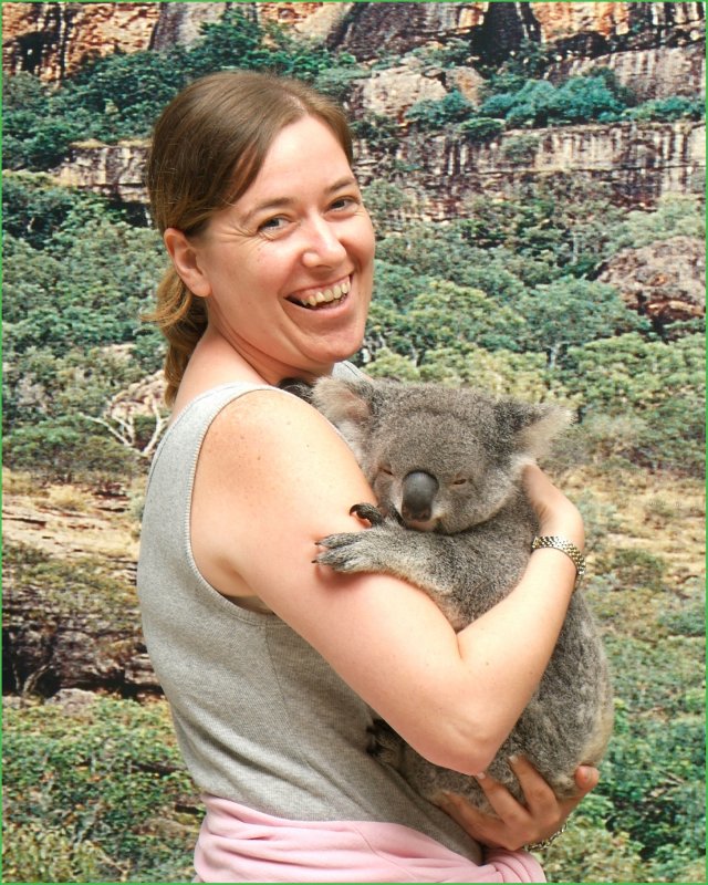 Sheena Koala.jpg