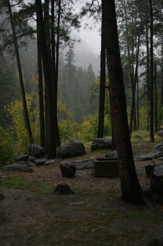 Morning Mist at Oak Creek