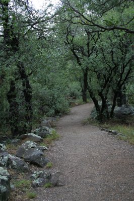 Oak Creek trail