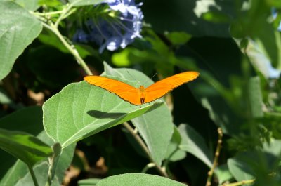 PICT2732.JPG