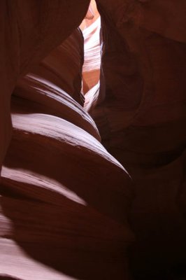 IMG_3891.jpg