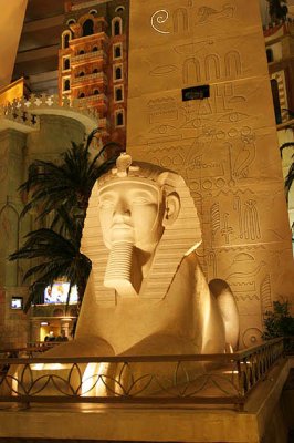 IMG_5345.jpg