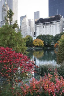 Central Park 11-10-06