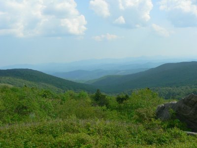 View from Mt. Rogers