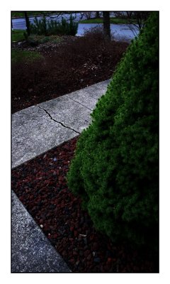 Entropy_061206.jpg