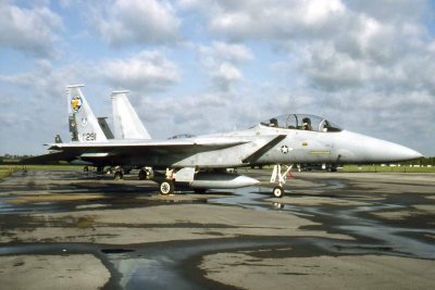 F-15B--71291-Gray.jpg