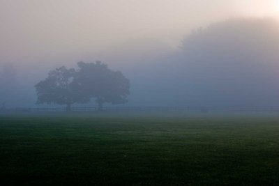 Foggy Morning.jpg