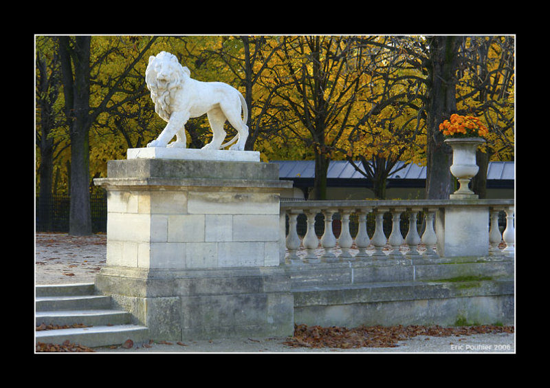 Lion dautomne - Paris
