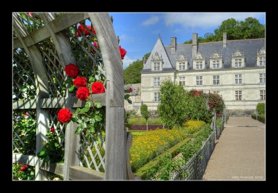 Jardins de Villandry 5