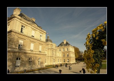 Le Senat - Paris