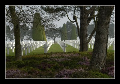 American War Cemetery - Colleville/mer Normandy - France