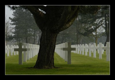 War Cemetery - Colleville 1