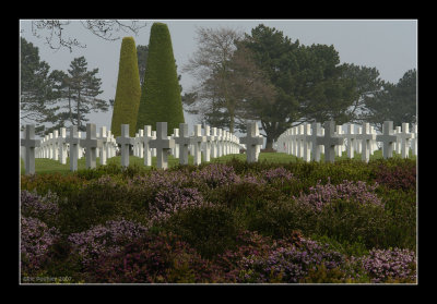 War Cemetery - Colleville 3