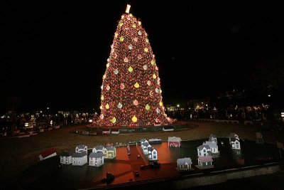 National Christmas Tree