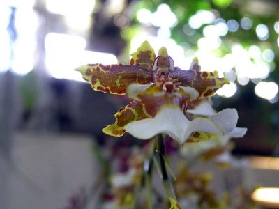 200PC300088.jpg