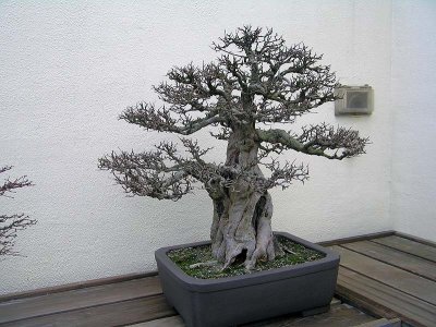 41P1060150.jpg