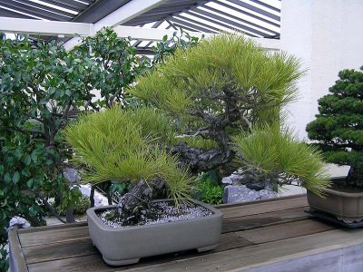 43P1060152.jpg