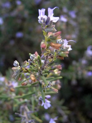 76P1060190.jpg
