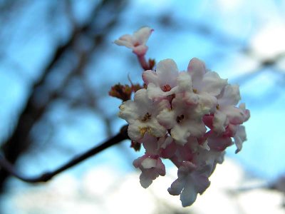 83P1060198.jpg