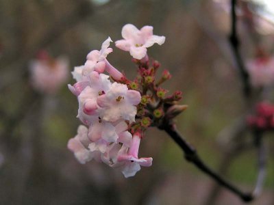 84P1060199.jpg