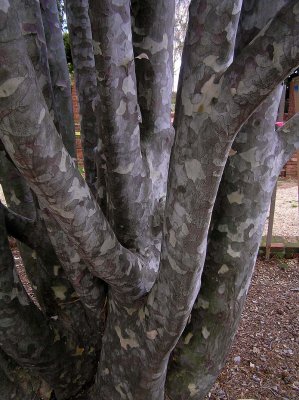 89P1060204.jpg