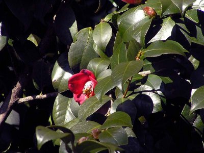93P1060208.jpg