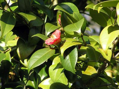 94P1060209.jpg