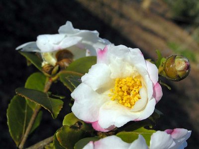 98P1060213.jpg